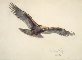 Repülő sas, 1873